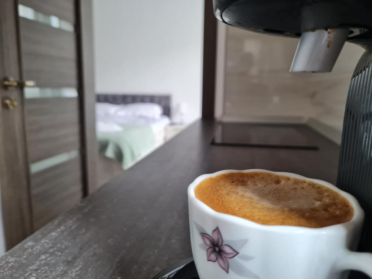 Smart Apartament 브라쇼브 외부 사진
